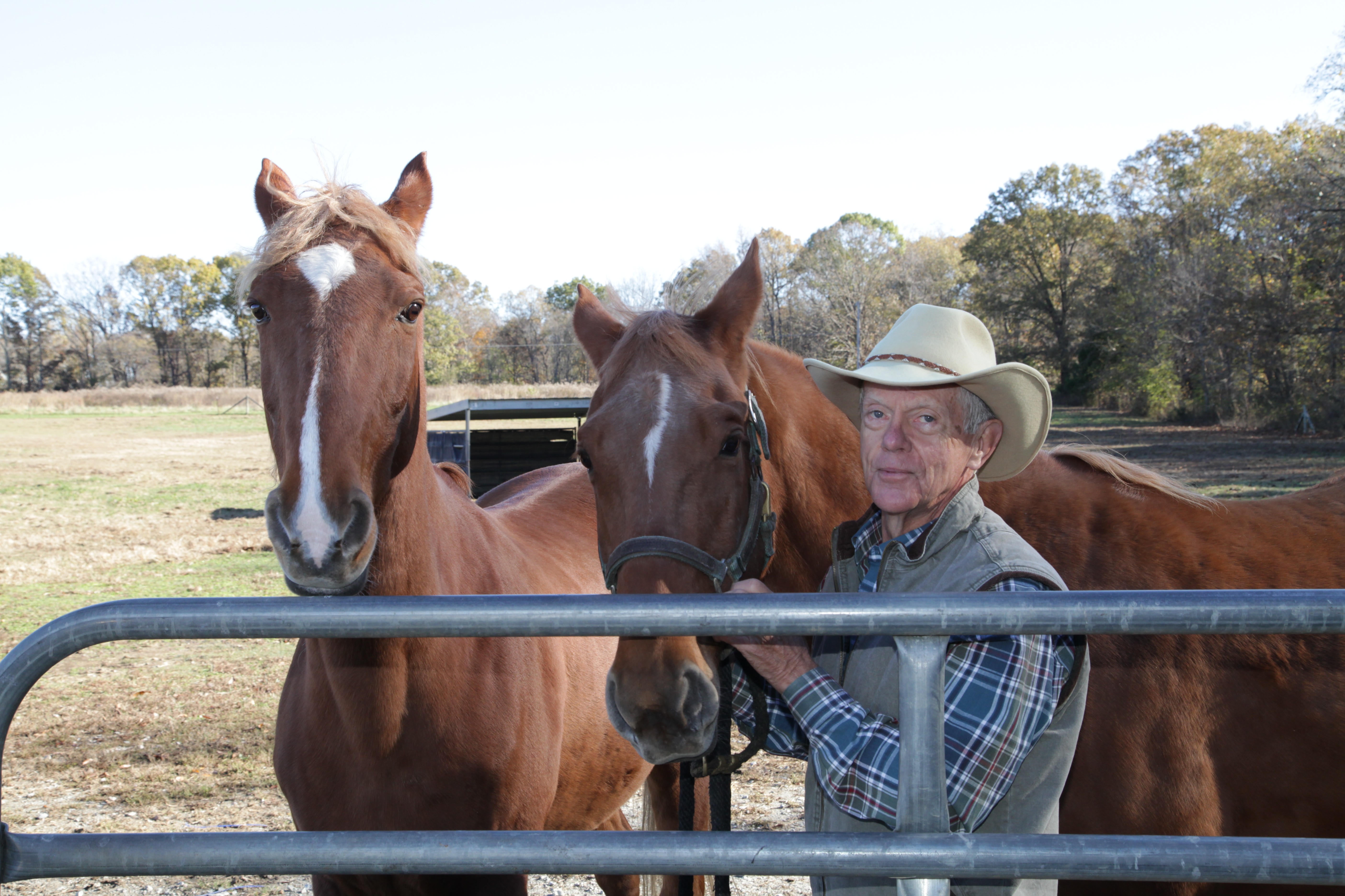 Dr. Warren with his horses on his farm.